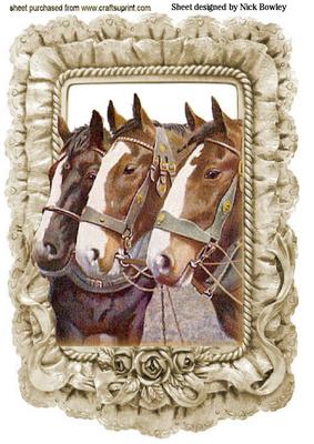 Beautiful Horses in Frill Frame A4