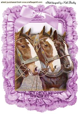 Beautiful Horses in Lilac Frill Frame with Bow A4