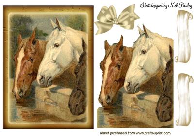 White and Tan Horses Drinking Water