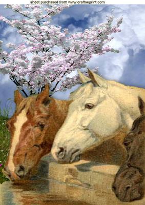 Horses with Blossoms in the Spring A4