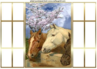 Horses with Blossoms in Spring French Gatefold