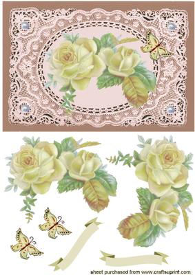 Beautiful Cream Roses on Ecru Lace and Pretty Background