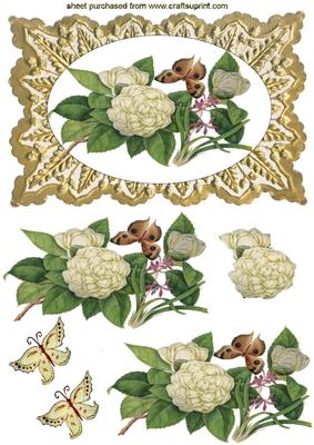 Beautiful White Flowers in Pretty Gold Frame