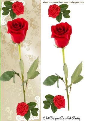 Single Red Rose, with Rose Buds Tall Dl Card