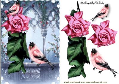 Pink Rose with Little Birds in the Garden