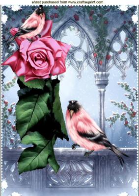 Pink Rose with Little Birds in the Garden A4