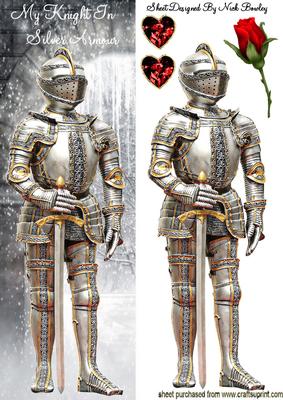 My Night in Silver Armour Tall Dl Card with Rose