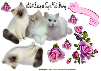 Lovely Fluffy Kittens with Pink Roses