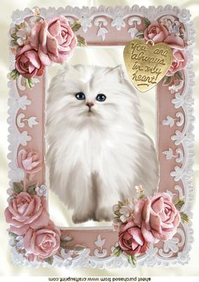 White Kitty with Romantic Gold Heart and Roses A4