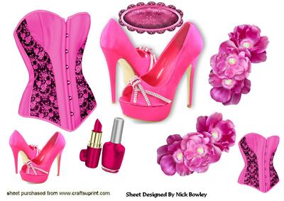 Pink Basque with Sparkle Shoes and Access A4