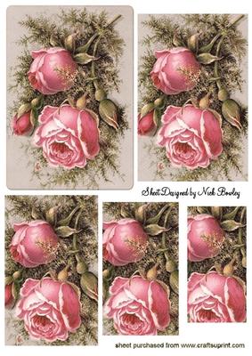 Pink Winter Roses with Brambles Pyramids