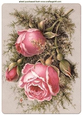 Pink Winter Roses with Brambles A4