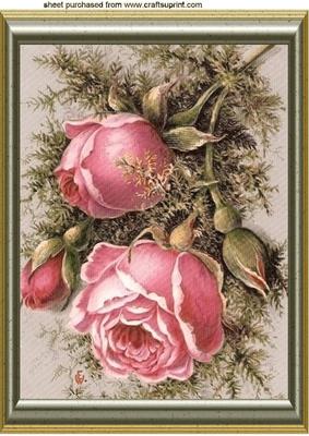 Pink Winter Roses with Brambles in Frame A4