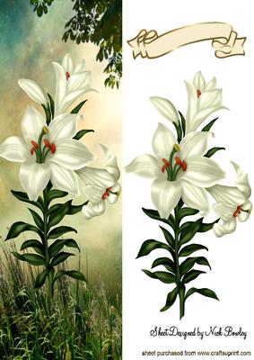 Pretty White Lilies in the Meadow Tall Dl