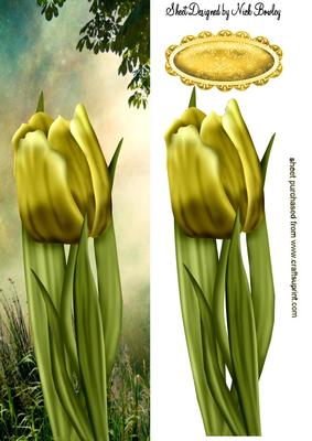 Yellow Tulip in the Meadow Tall Dl