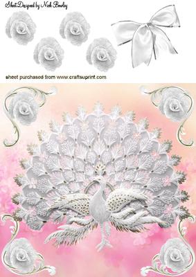 White Lace Peacock with White Roses 8x8