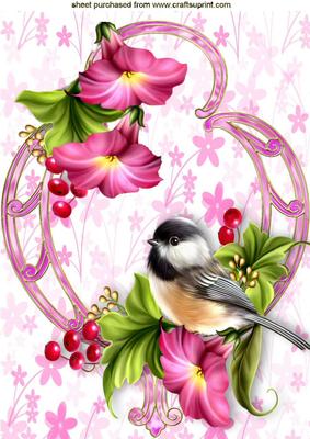 Little Bird in Ornate Frame with Petunias A4