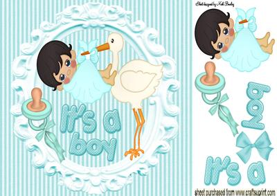 Baby Boy Carried by a Stork! with His Dummy 8x8