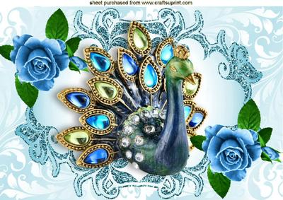 Beautiful Jewel Peacock with Painted Roses A4