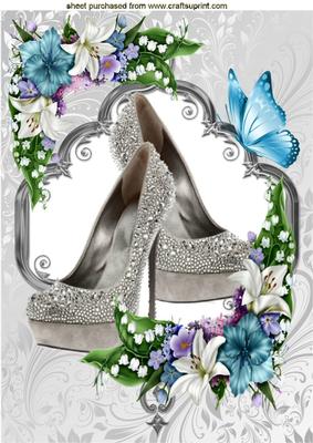 Silver Sparkle Shoes with Flowers and Butterflies A4
