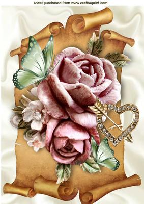 Pink Roses and Butterflies on a Scroll A4