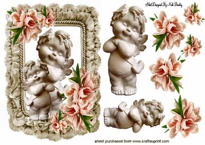 Little Cherubs with Peach Flowers in Frill Frame