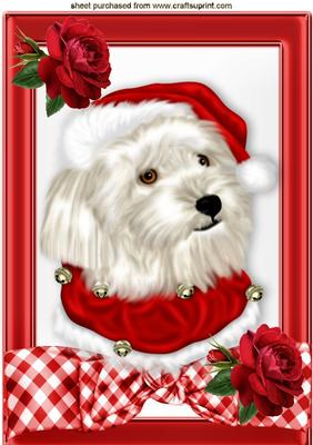 Lovely Westie in Red Gingham Frame with Bow & Rose A4