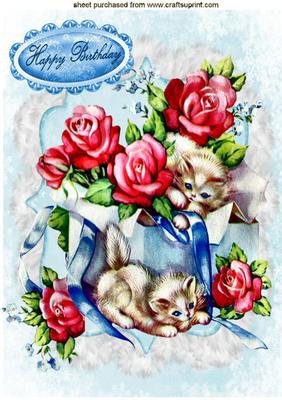 Kitties Playing in Box of Roses A4