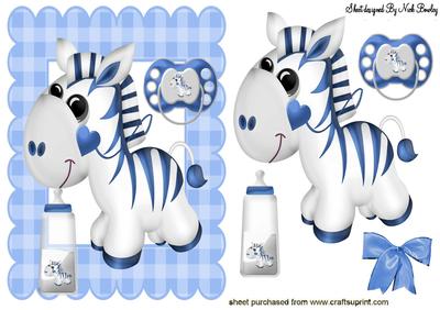 Baby Zebra with a Bottle and Dummy
