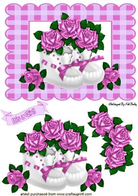Baby Girl Shoes with Pink Roses
