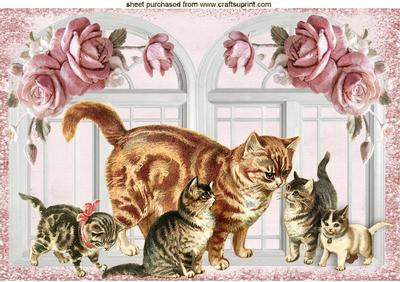 Cats and Playful Kittens in Rose Window