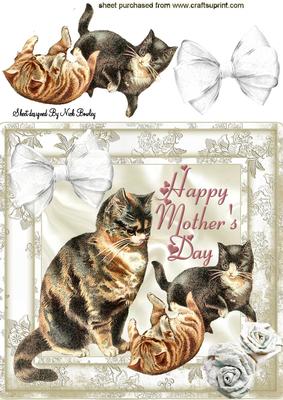 Cute Cat & Kittens for Mothers Day 8x8