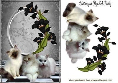 Fluffy Kittens with Pretty Black Flowers
