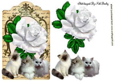 Fluffy Kitties on a Vintage Tag with White Rose