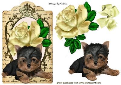 Cute Little Yorkie with Cream Rose on Vintage Tag