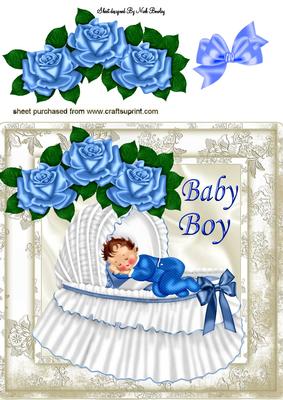 Sleeping Baby Boy with Blue Roses 8x8