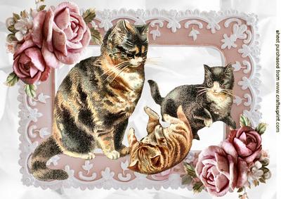 Playful Kittens with Mum in Frame of Roses A4