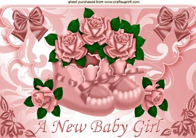Baby Girl Bootees and Roses on Scalloped Envelope A4