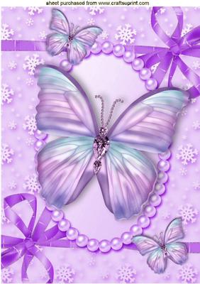 Pretty Purple Butterflies in Pearl Frame A4