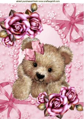 Cuddly Teddy in Pink Rose Frame A4