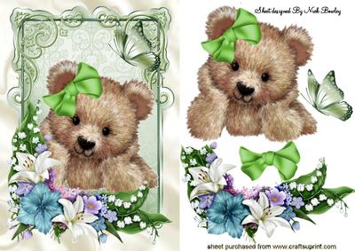 Cuddly Teddy, with Spring Flowers and Butterfly