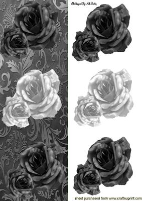 Black Rose with White Rose Tall Dl