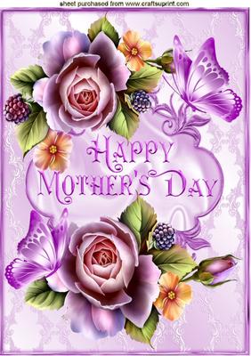 Lilac and Peach Roses for Mothers Day A4