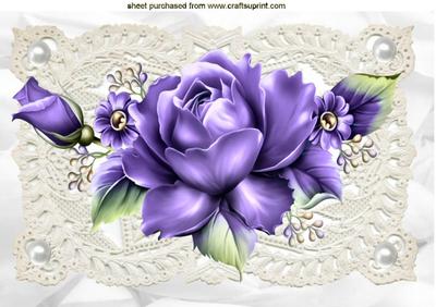 Purple Roses on Lace with Butterflies A4