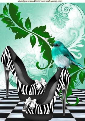 Elegant Stripe Shoes with Pretty Bird A4