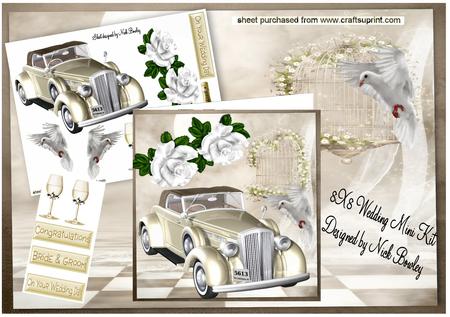 Lovely Wedding Car with White Roses 8x8 Mini Kit