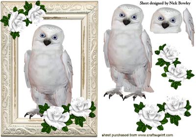 Snowy White Owl with White Roses