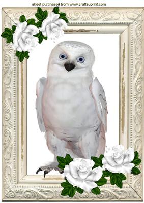 Snowy White Owl with White Roses A4
