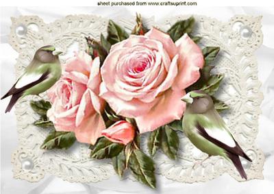 Pink Roses on Vintage Lace with Birds A4
