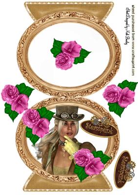 Lovely Steam Punk Lady with Roses